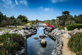 7 Incredible Reasons to Visit Safa Park in Dubai
